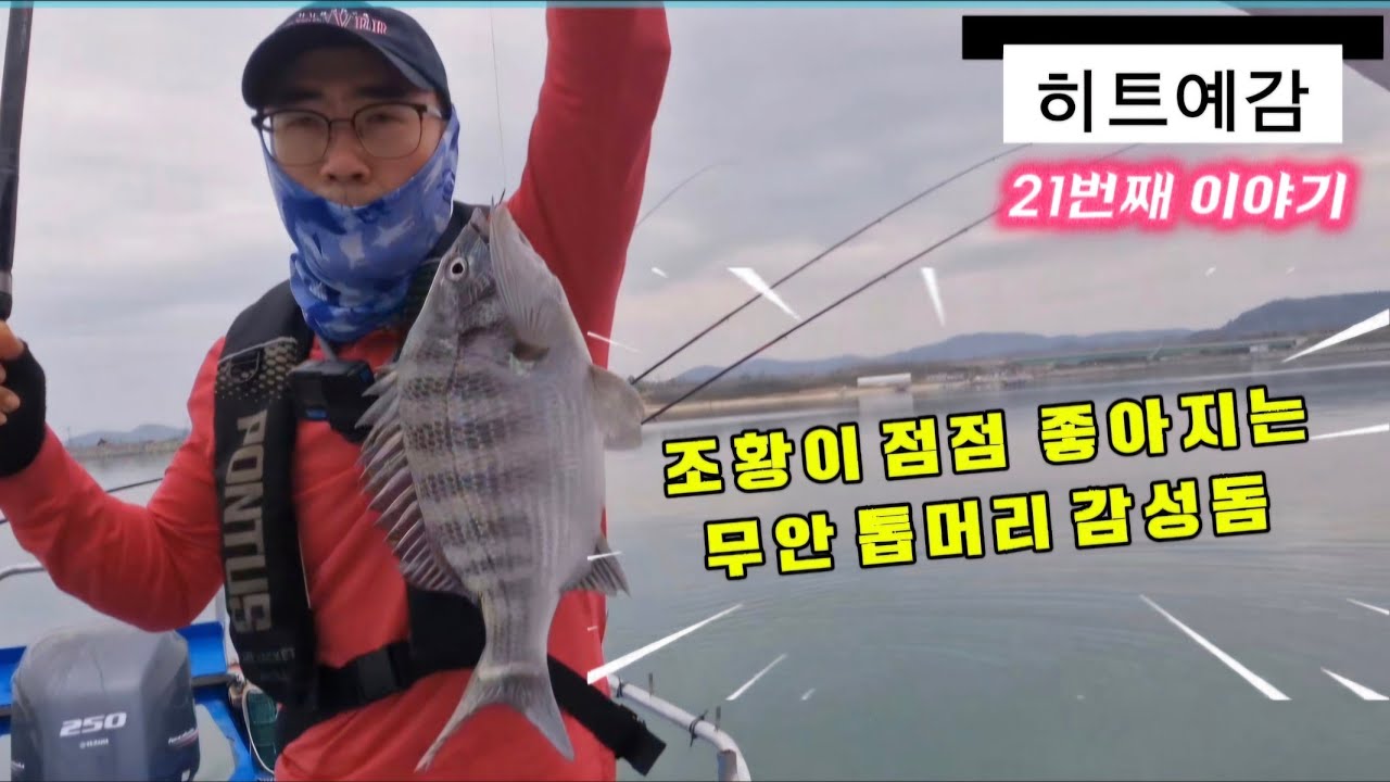 (26.4.16.화) 무안 톱머리 살아나는 감성돔 조황  오늘은 과연 몇마리~?