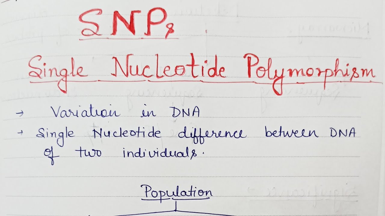 Single Nucleotide Polymorphism : SNPs