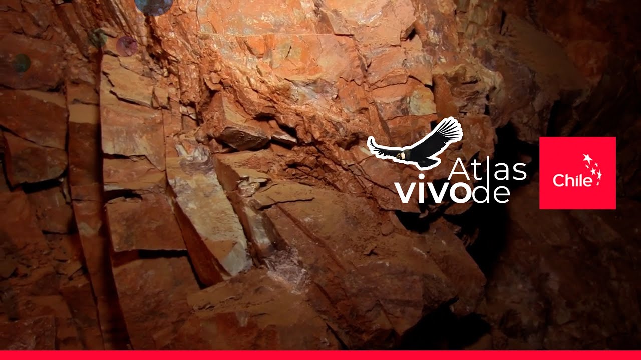 Combarbalita: la piedra única de Chile que inspira a artesanos | Atlas Vivo de Chile