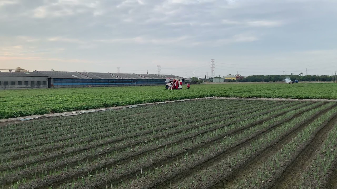 花生機採收20211030台灣