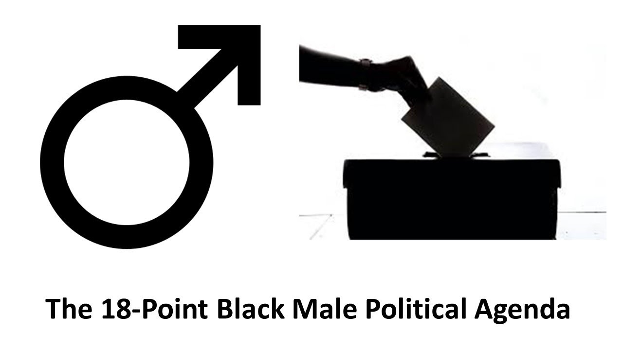 A Discussion With Dr. T. Hasan Johnson Regarding The 18-Point Black Male Political Agenda