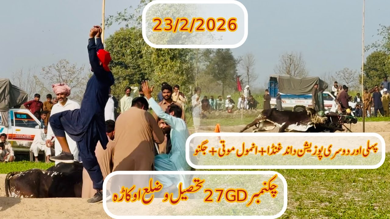 23/2/2026 New Bull Race Punjab Pakistan 🇵🇰 پہلی اور دوسری پوزیشن داند غنڈا +انمول موتی+جگنو جلسہ 27