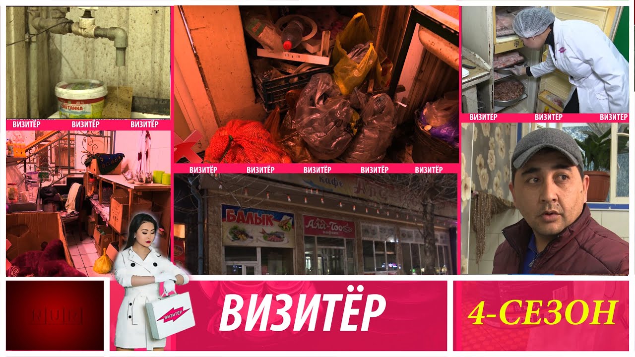 #Визитёр|Оштогу Ала-Тоо кафесинде таракандар барбы же....?