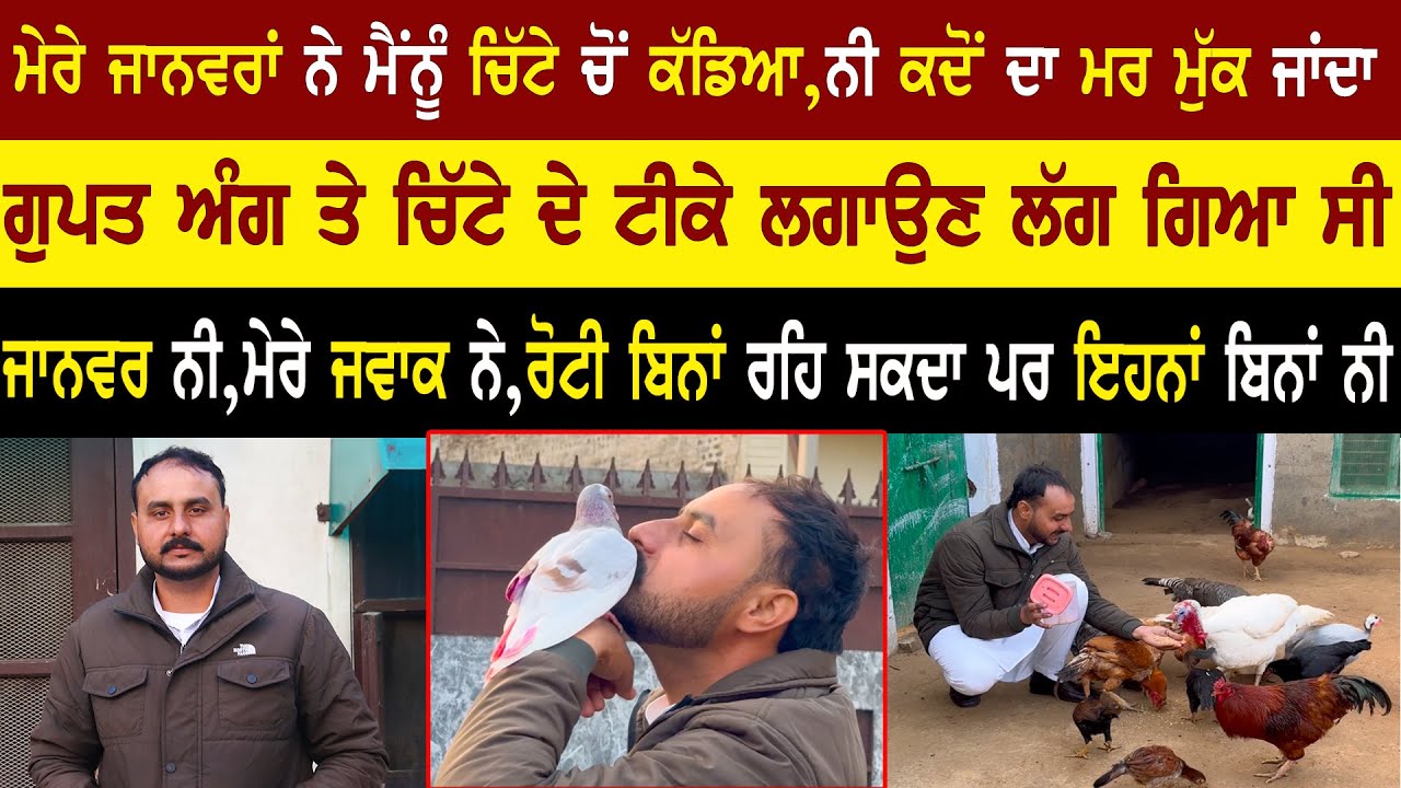 ਮੇਰੇ ਜਾਨਵਰਾਂ ਨੇ ਮੈਂਨੂੰ ਚਿੱਟੇ ਚੋਂ ਕੱਡਿਆ Inderpreet singh Life Story 
