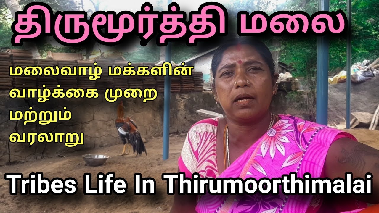 Thirumoorthy Malai Tribals Life style and history | wanderlost man