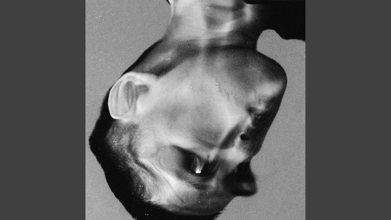 BLOOD SWEAT TEARS AND GEARS