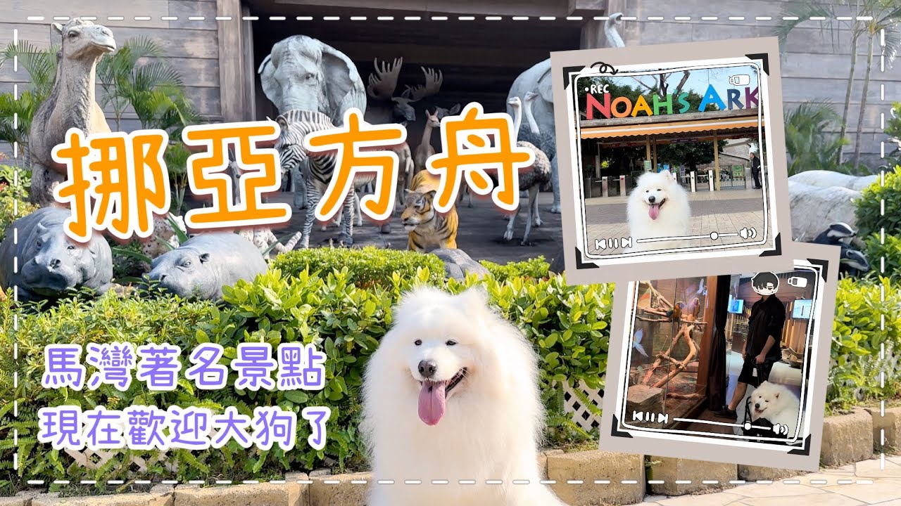 【挪亞方舟】馬灣著名景點，現在歡迎大狗了，仲有可以Staycation｜西摩Tako｜​⁠​⁠​⁠@big_dog_channel