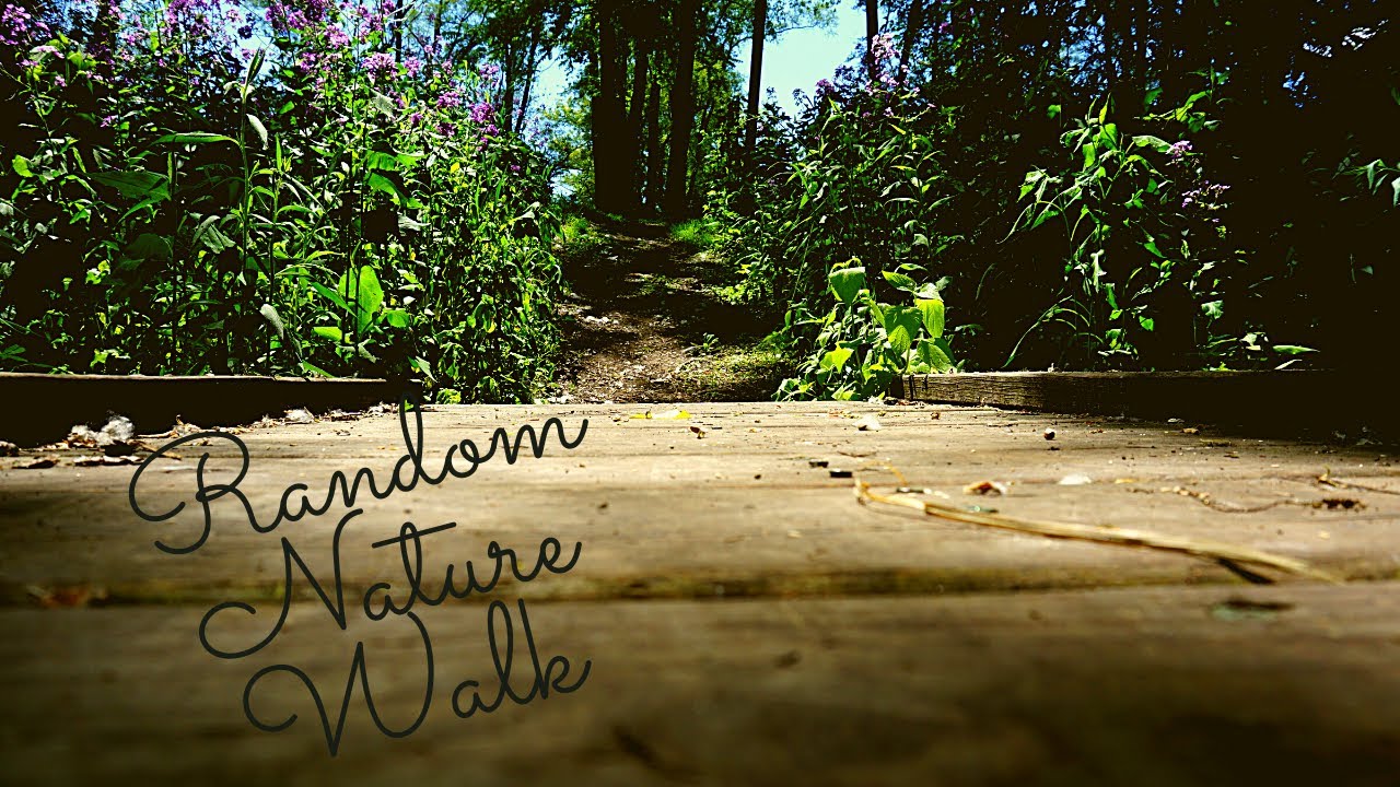A Nature Walk Ft. GoPro