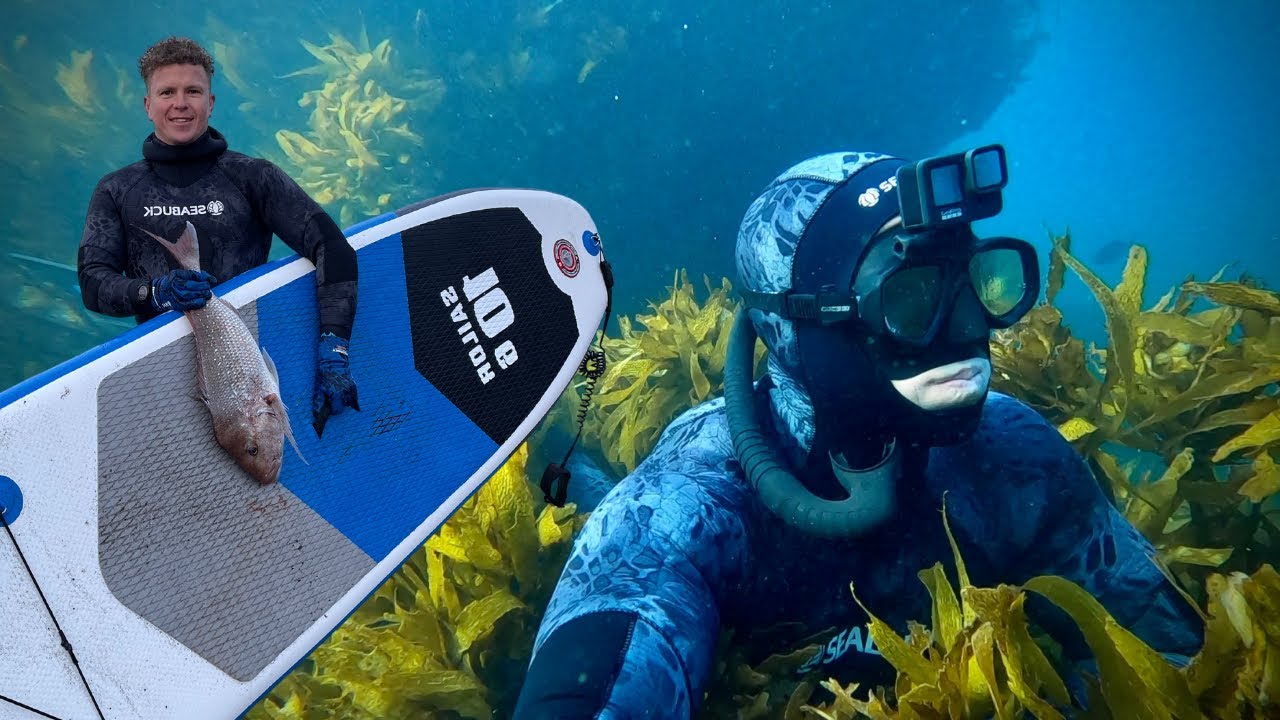 Hunting Snapper From My Paddeboard! | Spearfishing Kelp Beds