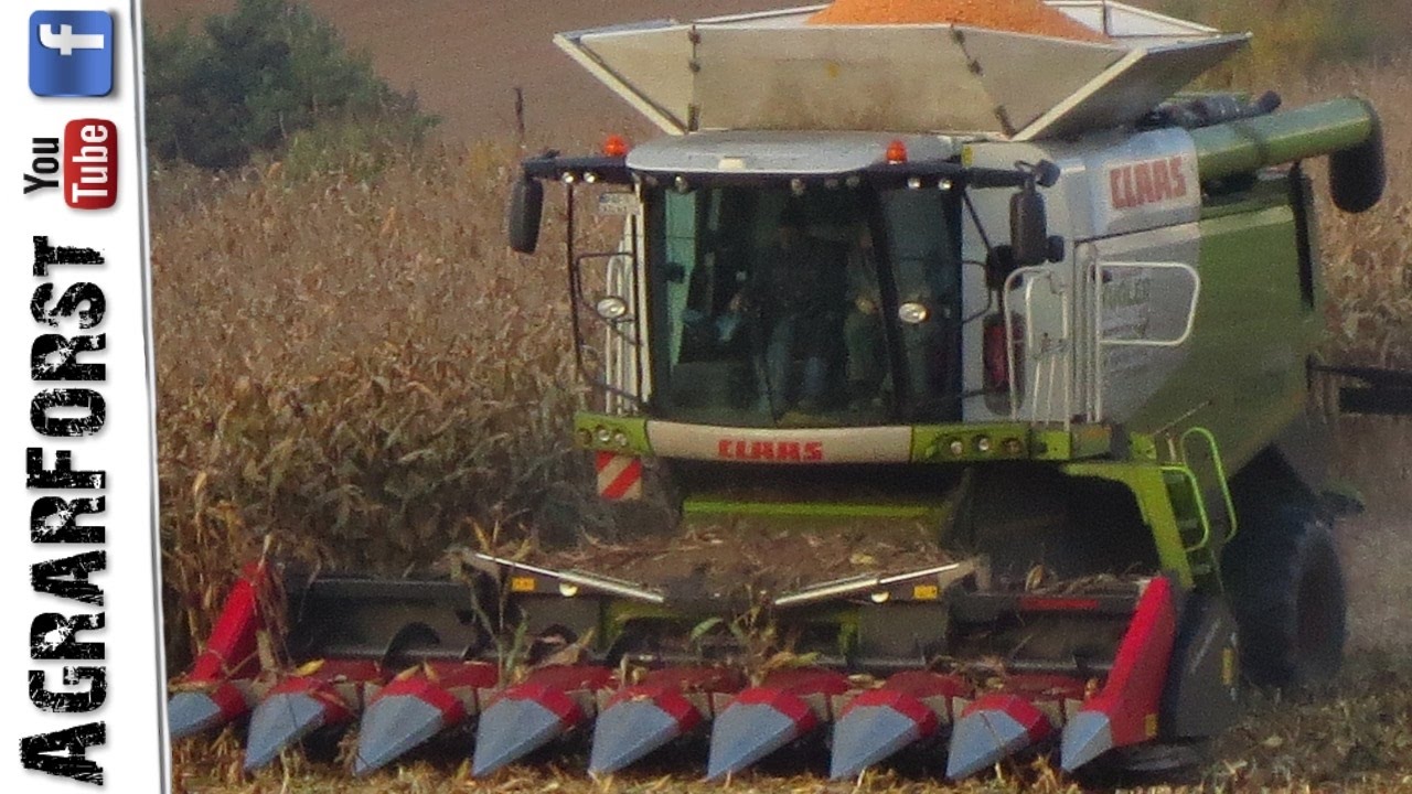 MAIS DRESCHEN 2016 - Claas Lexion 670 TT - Agrarservice Kügler