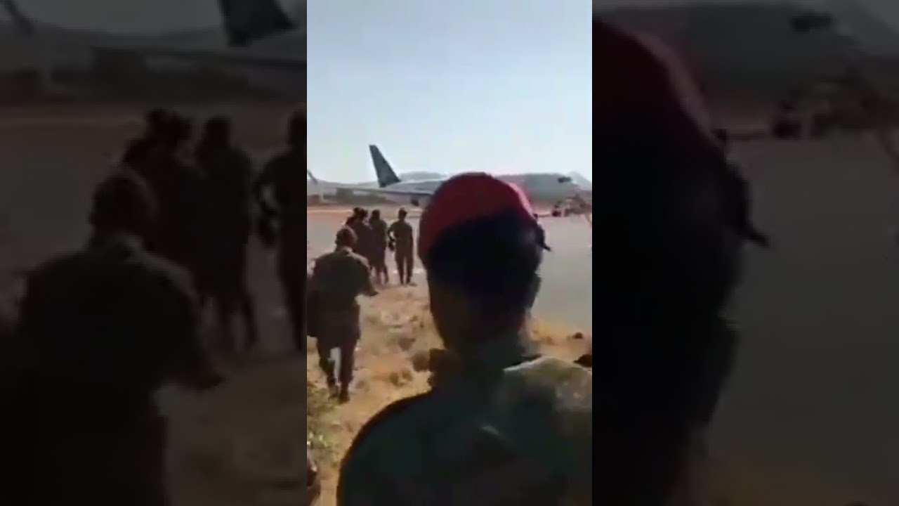 Tigray war #shorts