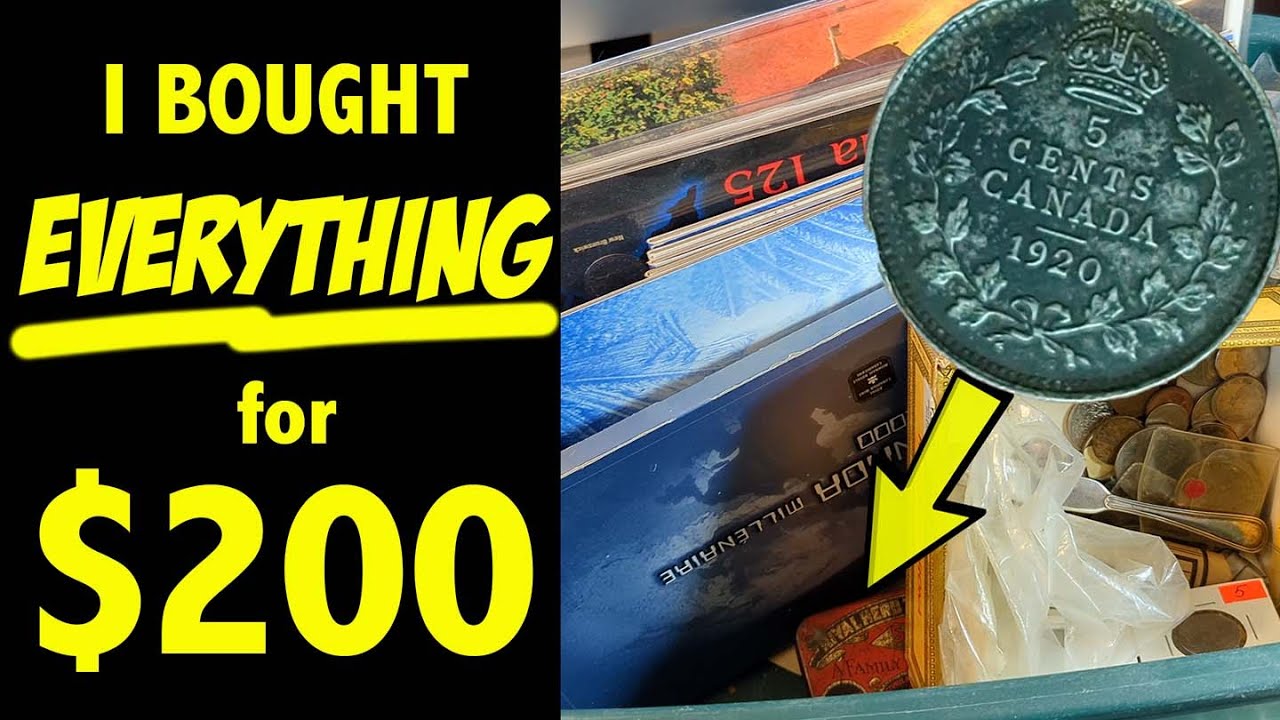 I Bought the Whole Bin (and a Shoebox full of coins!!) for $200. BETTER NOT BE A *BUST!*
