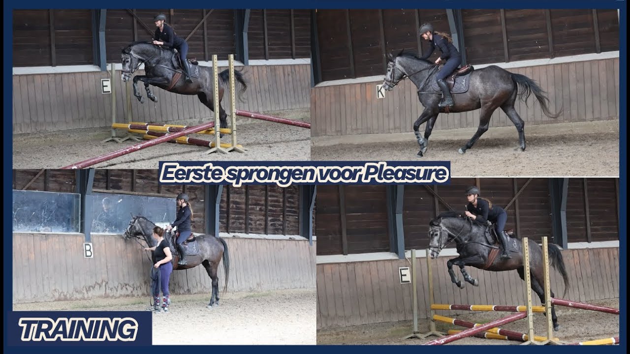 EERSTE KEER SPRINGEN met 4-jarige Pleasure + uitleg | Training 3 | Horses by Demi