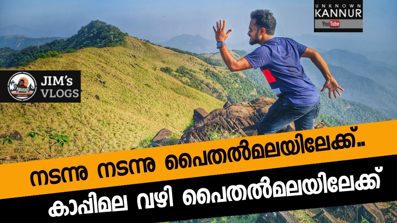കാപ്പിമല വഴി പൈതൽ മലയിലേക്ക് നടന്നു..🐘 Exploring Paithalmala Through Kappimala. #Paithalmala#KNR