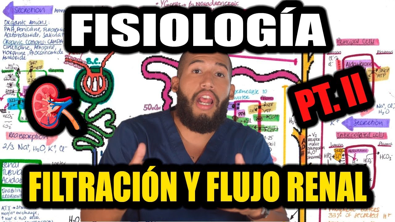 Fisiología Renal Pt. II - Filtración Glomerular, Flujo Sanguíneo Renal (Presiónes, Control de Flujo)