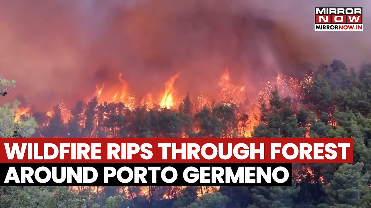 Greece On Fire: Massive Blaze Engulfs Forest Near Porto Germeno &mdash; Evacuations Begin | Watch