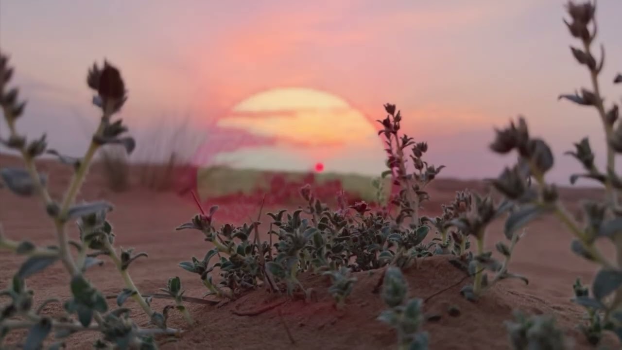Holy Ramadan night in the desert, 17 March 2025.