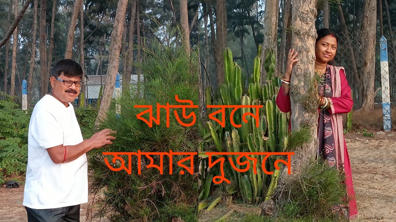 দীঘা ভ্রমন (পর্ব-৭) দীঘা থেকে বাড়ি ফেরার আগেই ঘুরতে গেলাম ঝাউ বনে🌲॥#banglavlog 