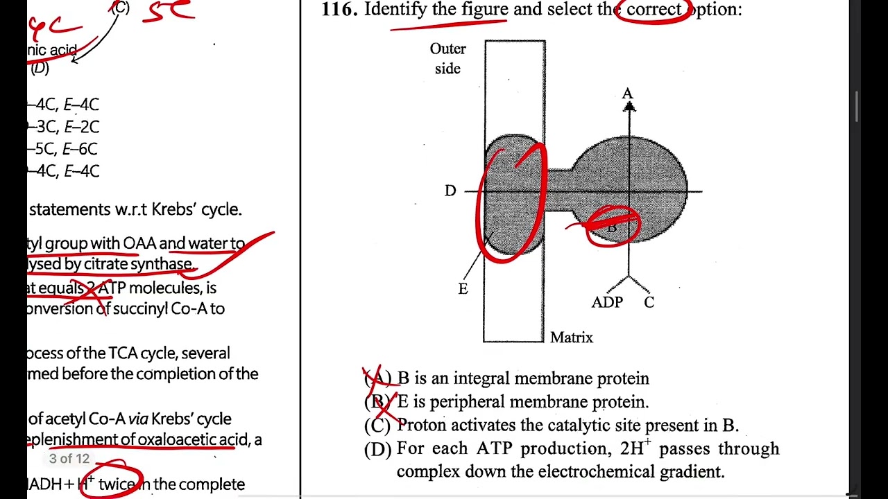 ARCH Learning Cumulative Test 04 Biology Solution #neet2026 #archlearning #biology #rohirsir 