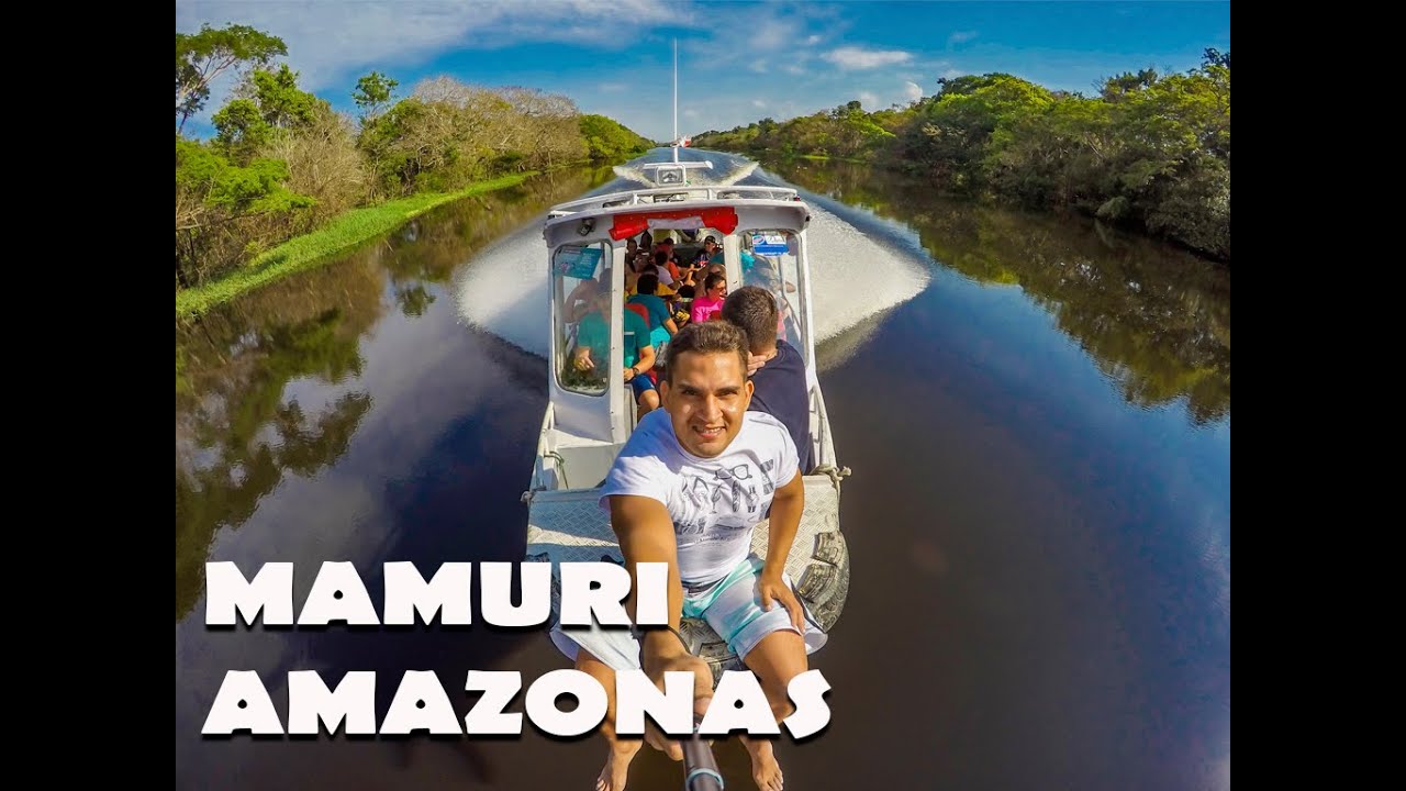 PILOTEIRO - MAMURI AMAZONAS
