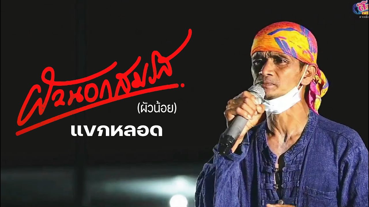ผัวนอกสมรส แบบฉบับแขกหลอด (ร้องเพลงแลกไก่ตี) หนุ่มเอส เพชรบ้านแพง