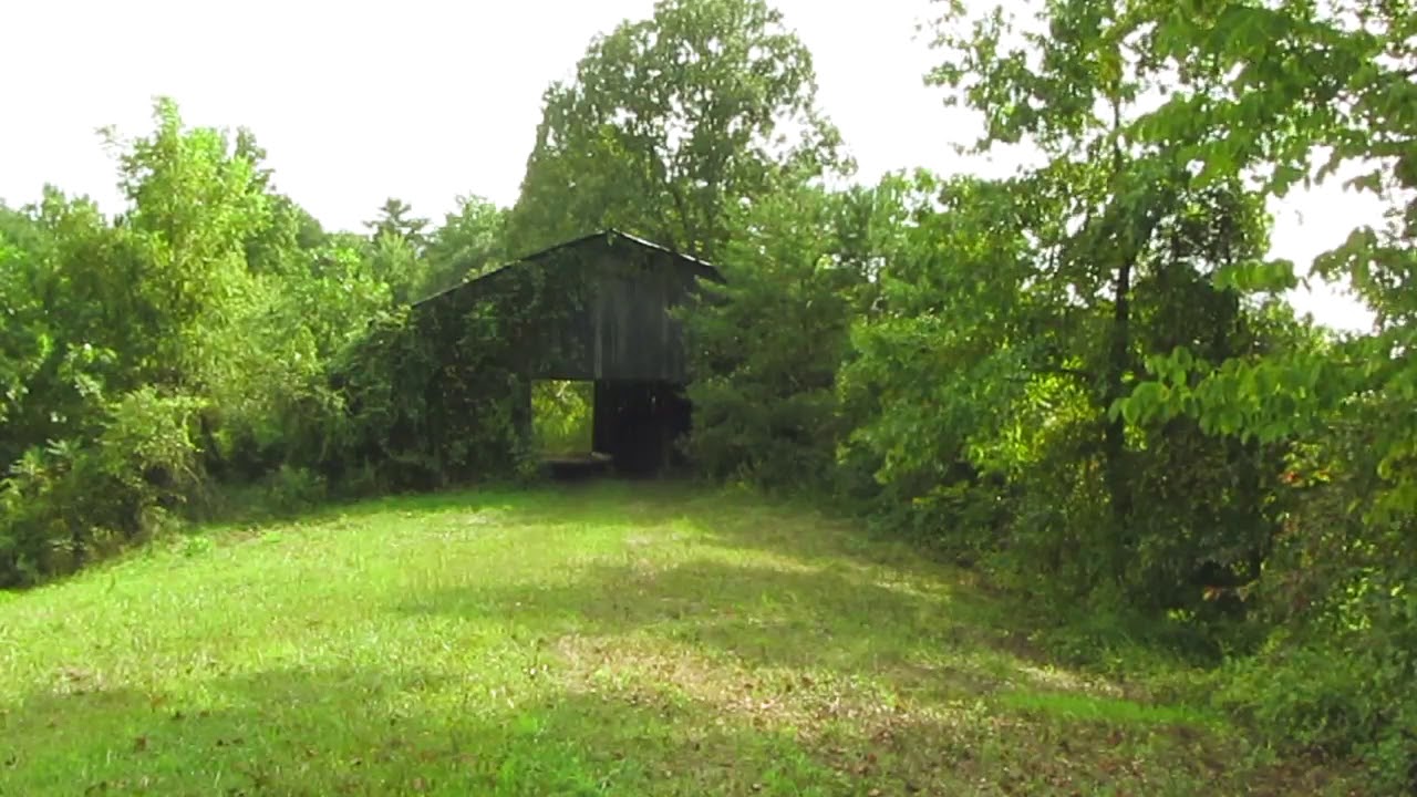 Appalachian Mountain Medley Sleep Relax Nature Sounds 1 Hour