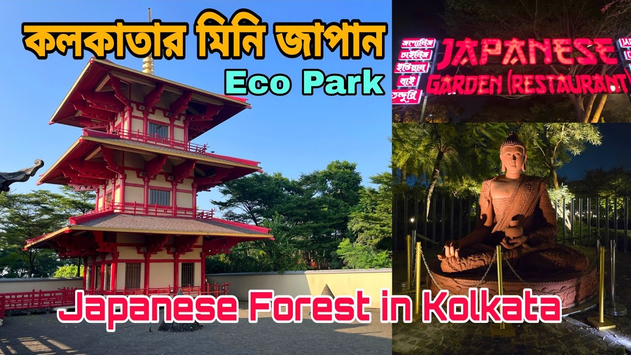 Japanese Forest in Kolkata ⛩️ কলকাতার বুকে এক টুকরো জাপান 🥰 Eco Park Kolkata 