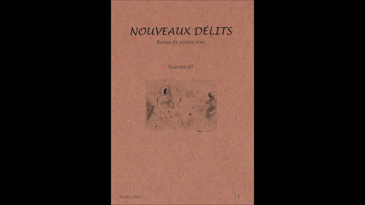 Revue Nouveaux Délits - Numéro 67 (extraits)