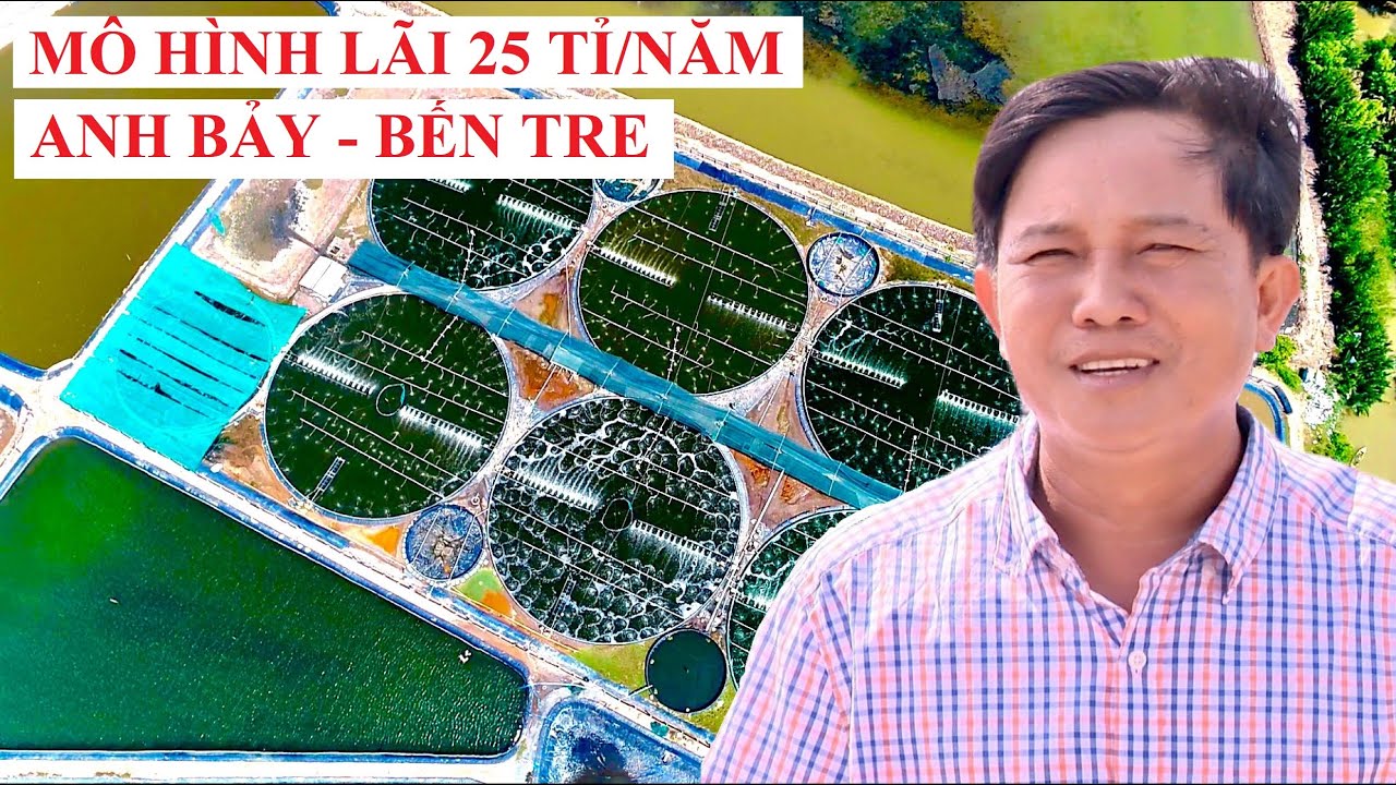 ANH BẢY & MÔ HÌNH TÔM TỈ PHÚ #nuoitom​​​​​ #thuhoachtom​​​​​ #thuysan #thuysanmientay