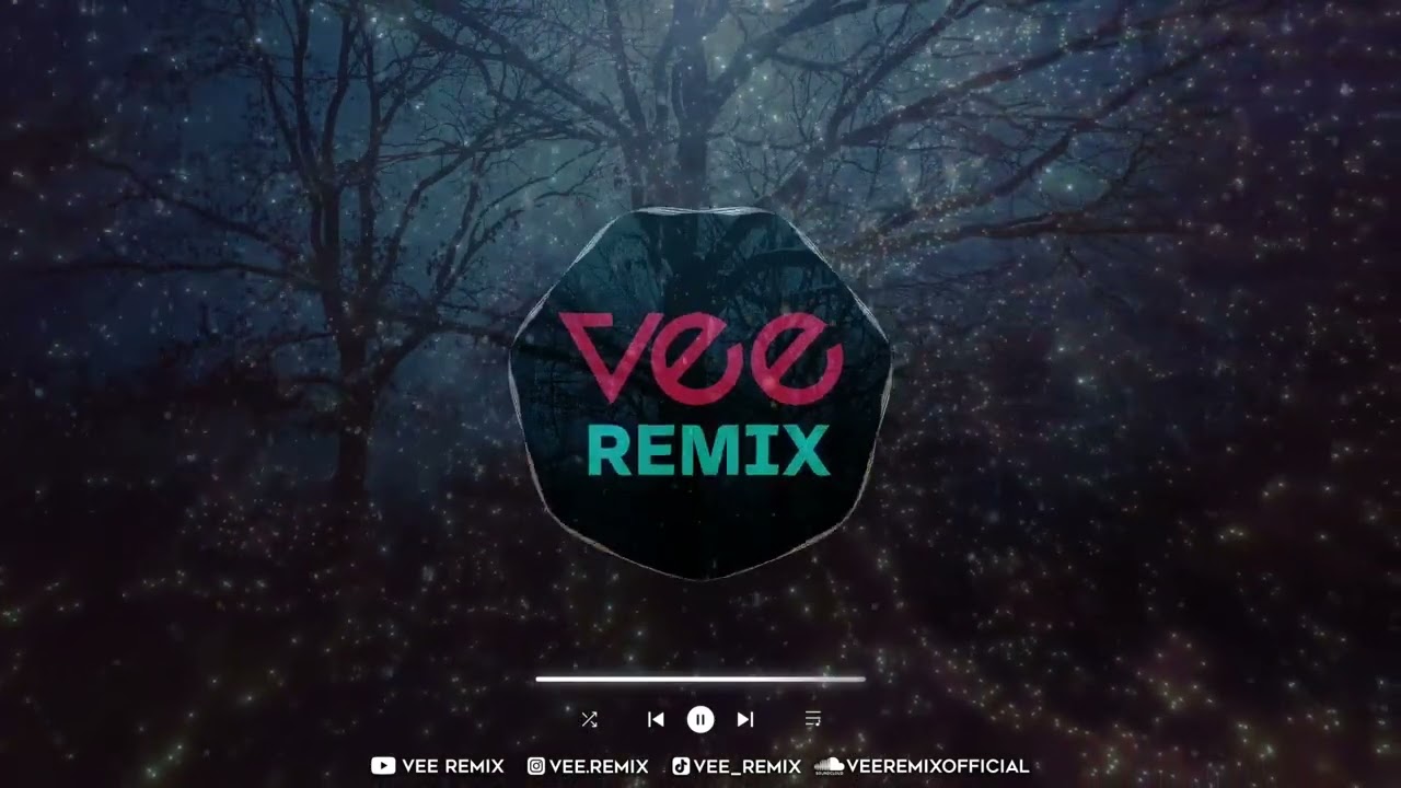 Vee Remix | ميني مكس سواها