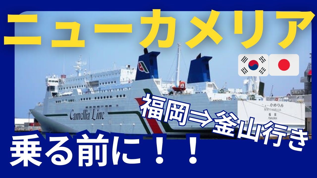 【韓国旅行】ニューカメリアラインに乗る前に見てね　｜　福岡から釜山へフェリーで行ってみよう！후쿠오카 부산