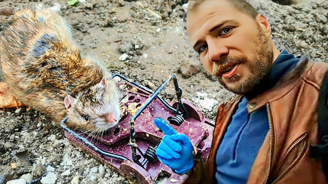 C'est pas des RATS, c'est des DINOSAURES !!!