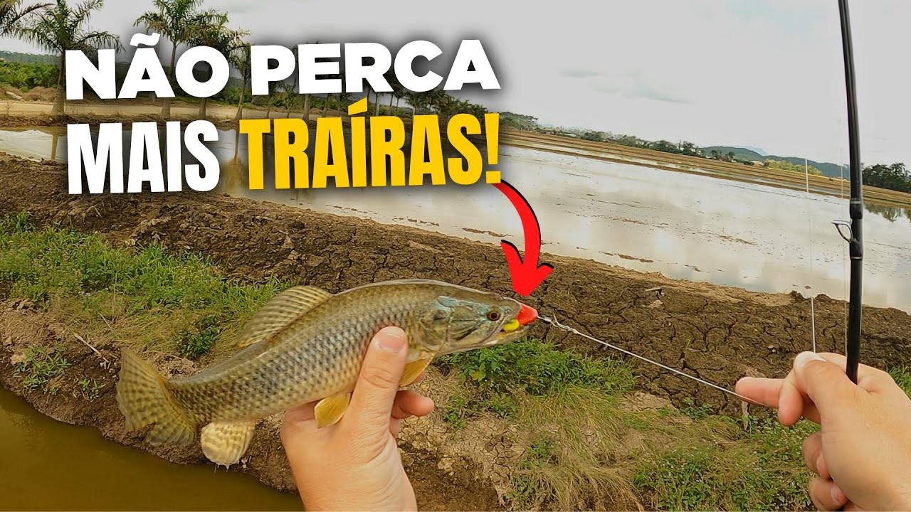 ESSA ISCA É FATAL PARA AS TRAÍRAS!! Pescaria nos Valos com Iscas Artificias