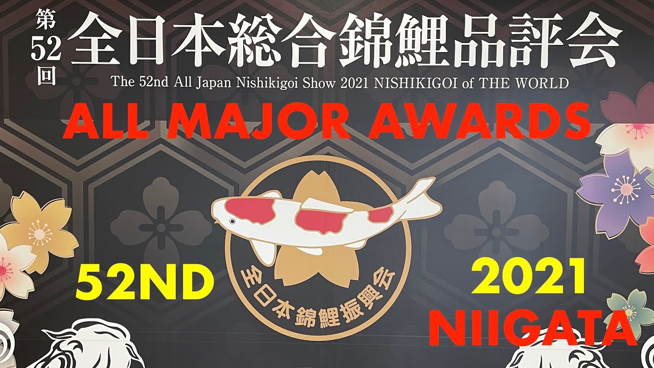 The 52 nd All Japan Nishikigoi Show AJKS Niigata Japan