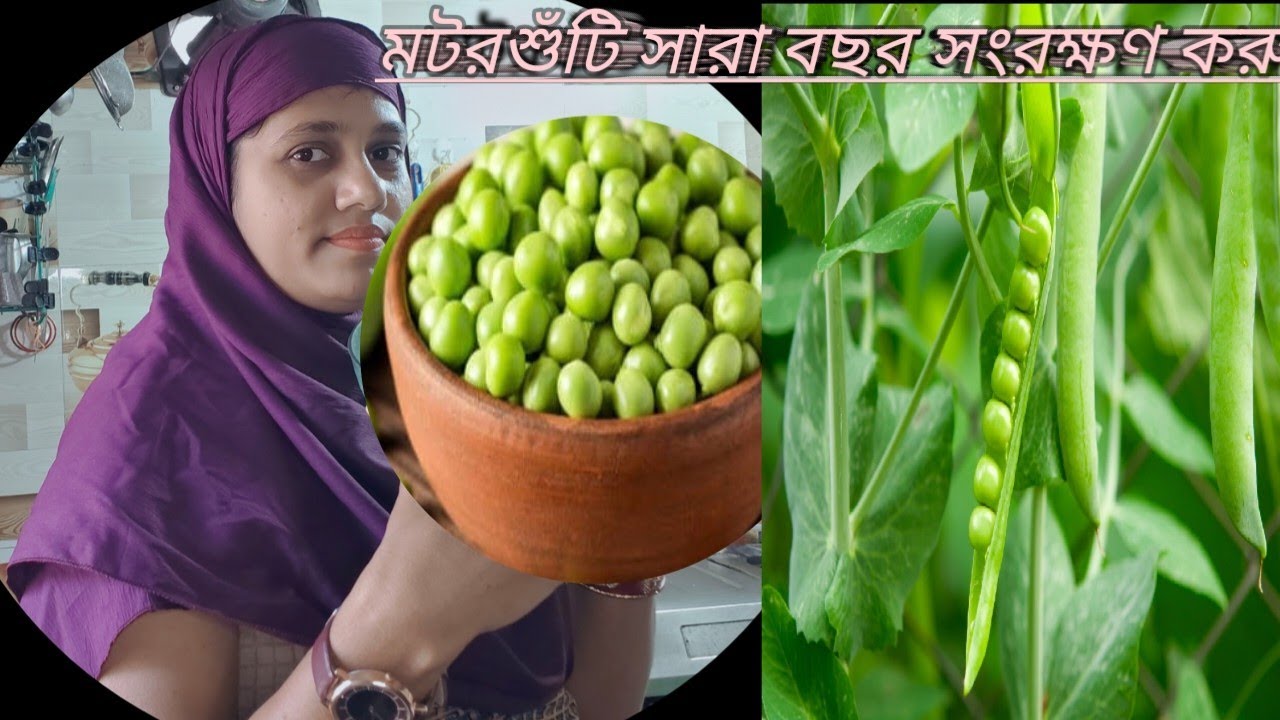 মটরশুটি এইভাবে সারা বছর সংরক্ষণ করুন 🫛 |  How to store fresh green peas | ফ্রোজেন মটরশুটি তৈরি করুন 