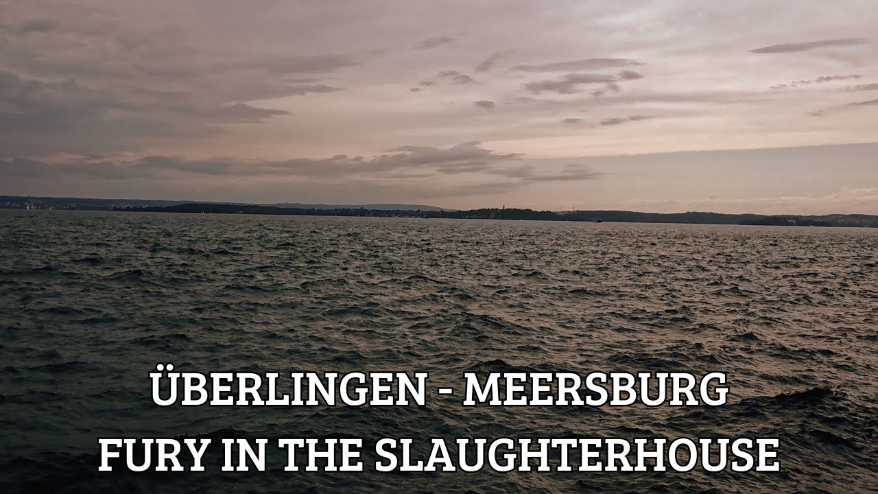 Überlingen - Meersburg - Fury in the Slaughterhouse