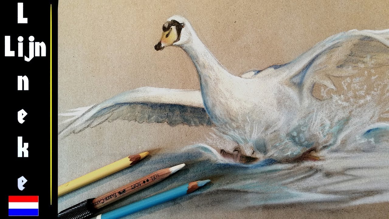 Hoe teken je een Zwaan op het water - Pastel Potlood tekening