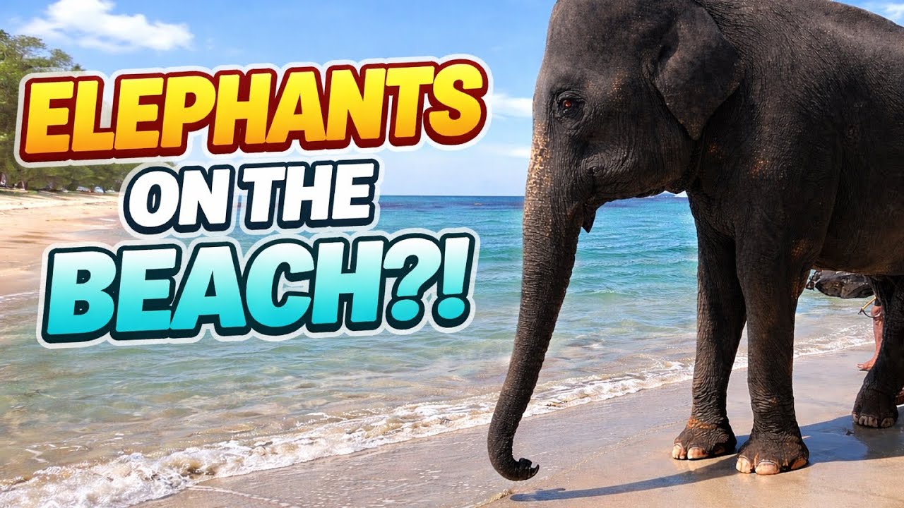 Koh Chang’s Beaches Are Not What You Think