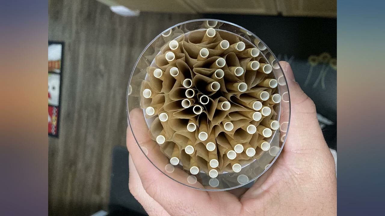 RAW Cones Classic King Size | 100 Pack | Natural Pre Rolled Paper with Tips and review