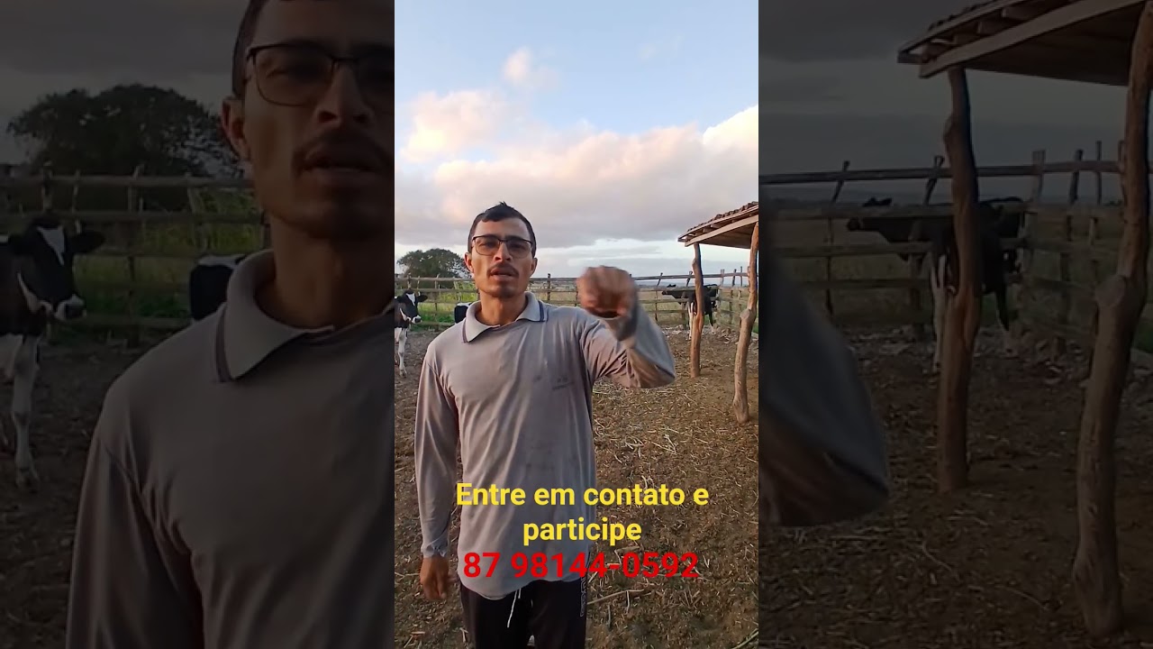 PARTICIPE DA A&Ccedil;&Atilde;O DE UMA VACA COM 35 KG DE LEITE DIA .