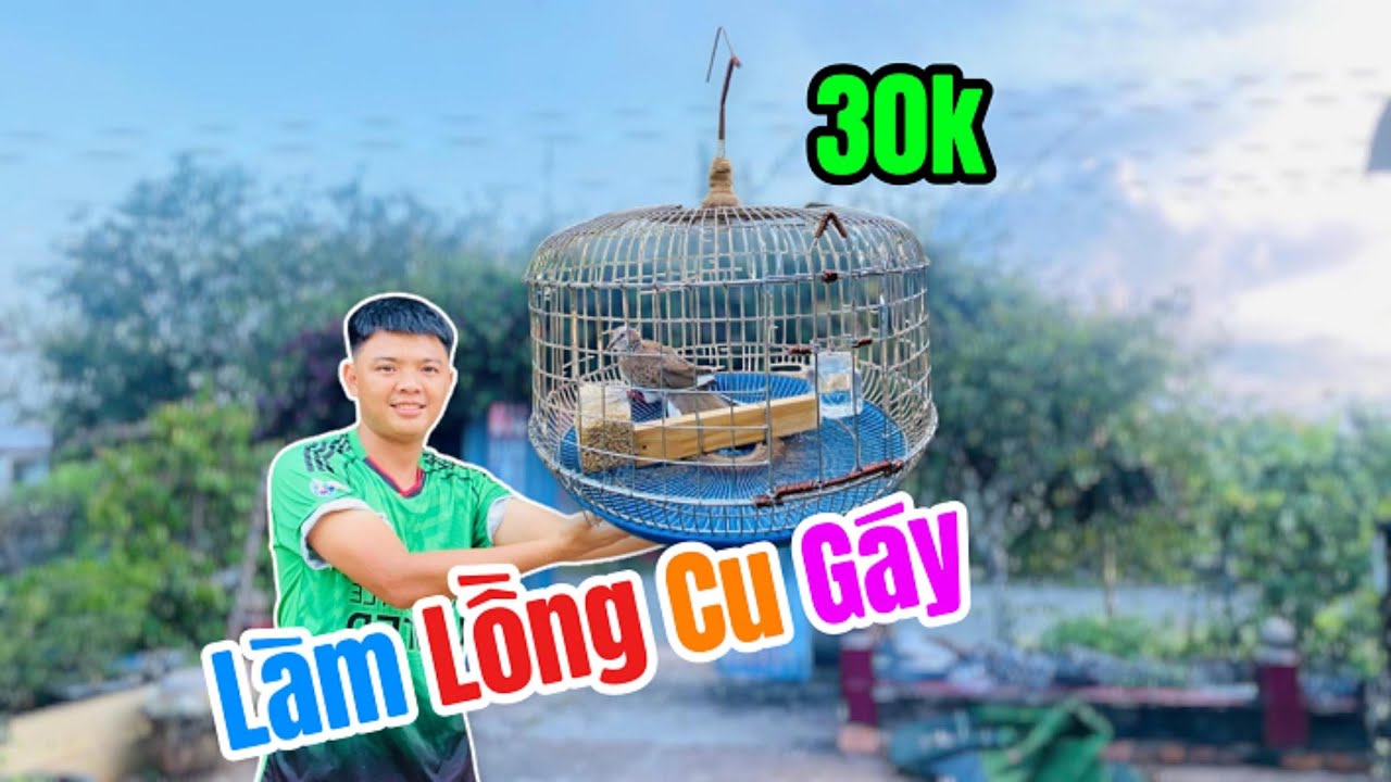 Cách Làm Lồng Chim Cu Gáy Giá Rẻ, Dễ Làm - Ai Cũng Có Thể Làm | Vinh Dii TV