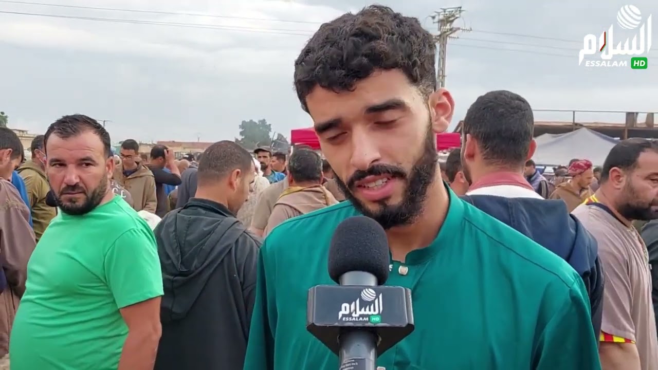 تيبازة : أسعار المواشي بالسوق الاسبوعي ببلدية بورقيقة ولاية تيبازة
