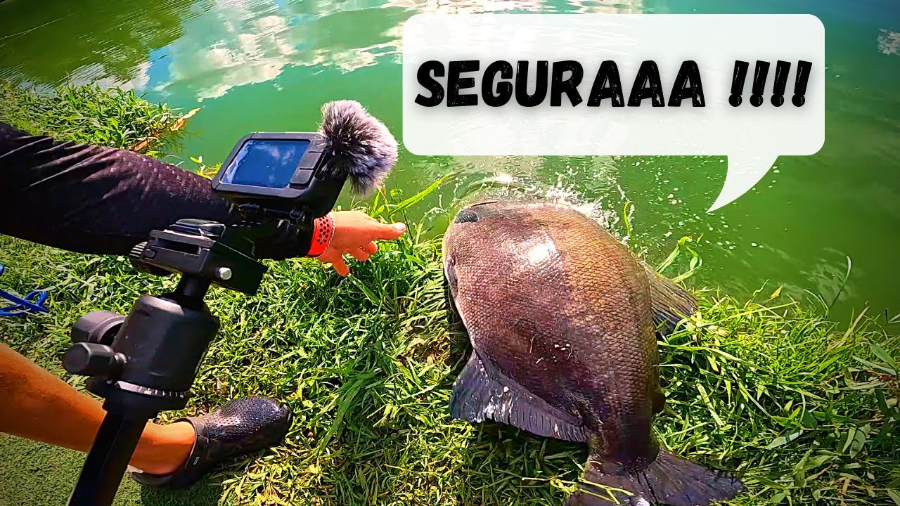FECHADINHA NO PESQUEIRO MIHARA COM THIAGO FISGADA GARANTIDA | Morena Souza | CasalBoinhaBoiao