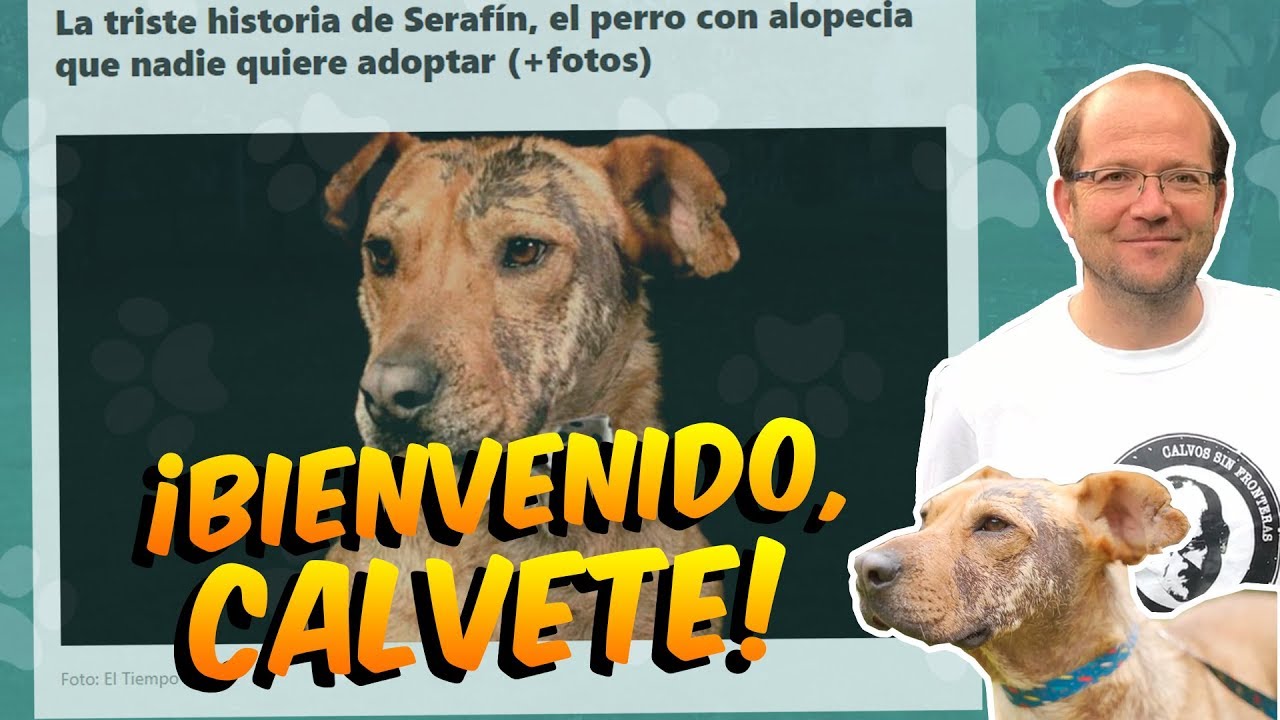 LA HISTORIA DEL PERRO AL QUE NADIE QUERÍA ADOPTAR