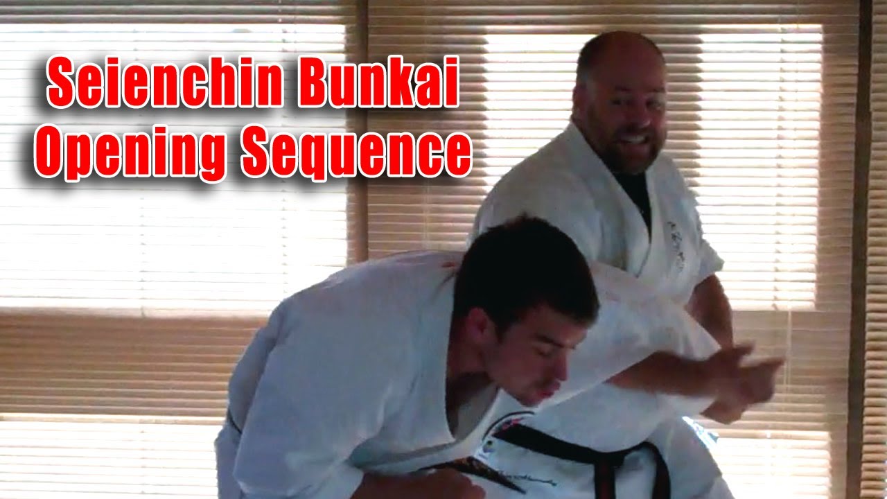 Practical Kata Bunkai: Seienchin (Seiyunchin) Opening Sequence