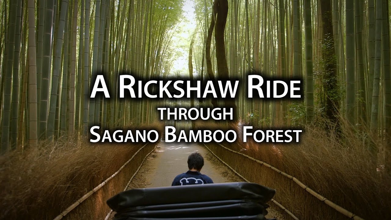 Places to Go: Sagano Bamboo Forest (Chikurin)