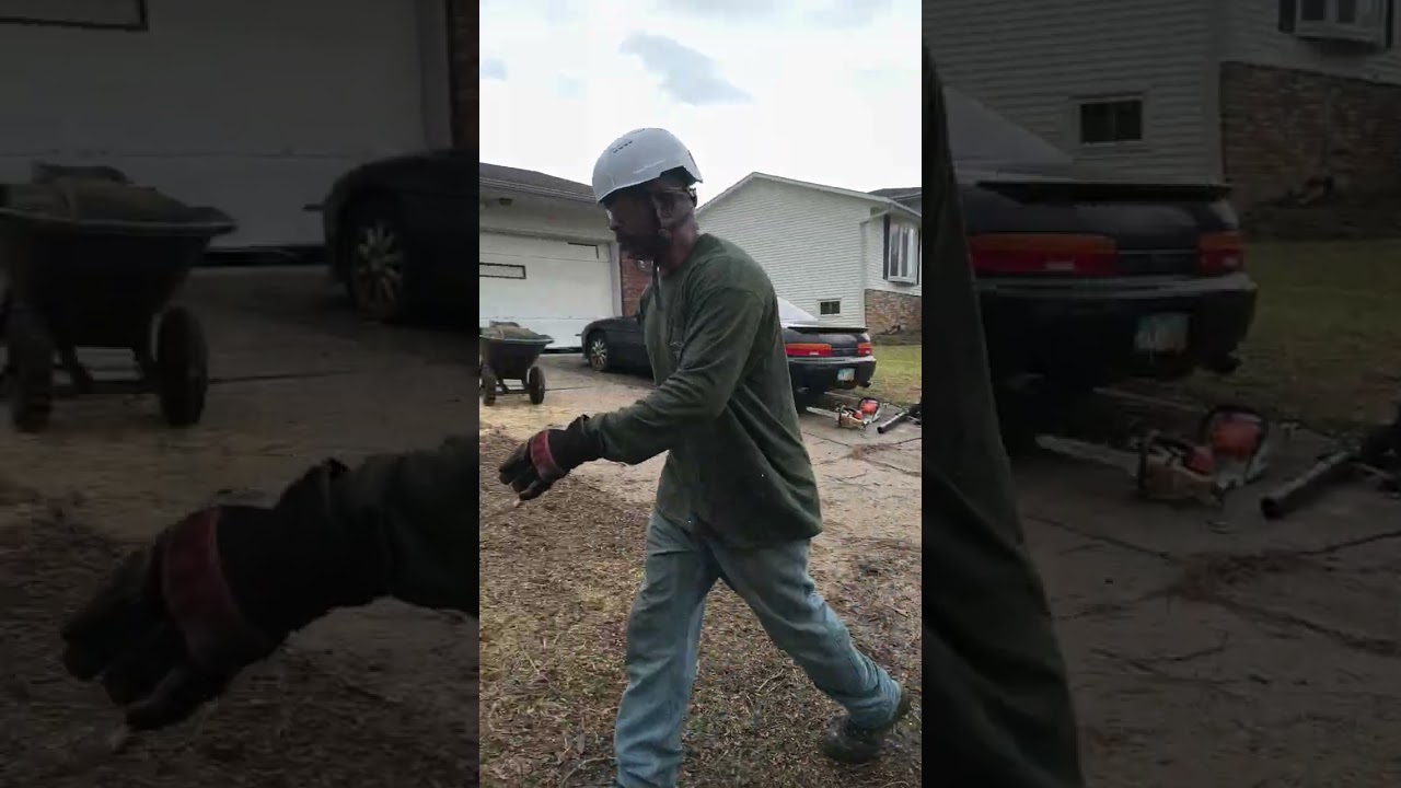Tree Service. RC Tree Service 