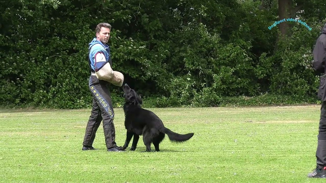 KGP de Bollenstreek Examen 25 05 25 Itam Jaxx van het Chainpark C