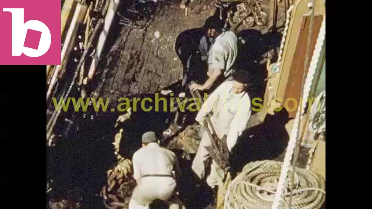 Whaling Ship at Sea: Durban - 1950s