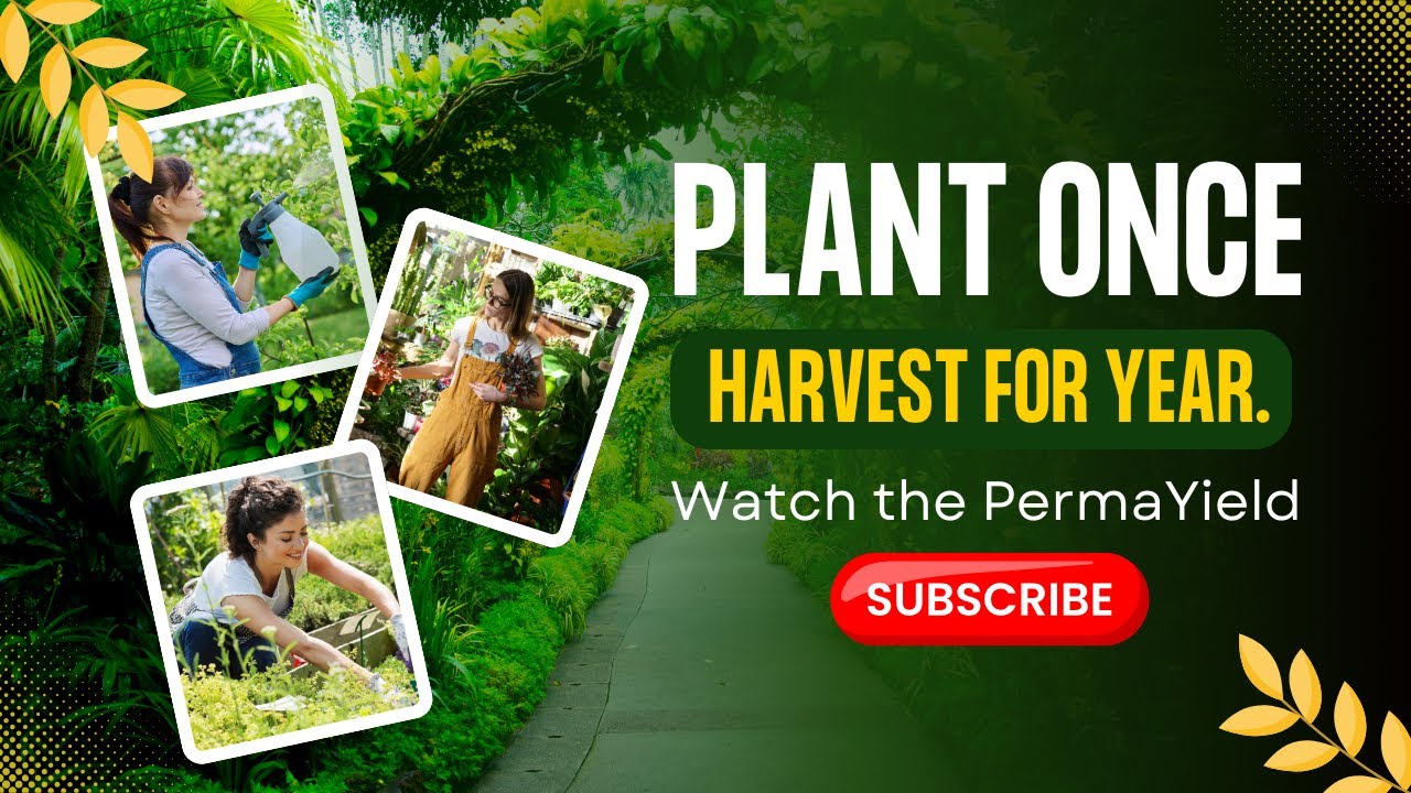 Plant These Perennials If You’re Over 50 — Low Effort, High Reward Crops